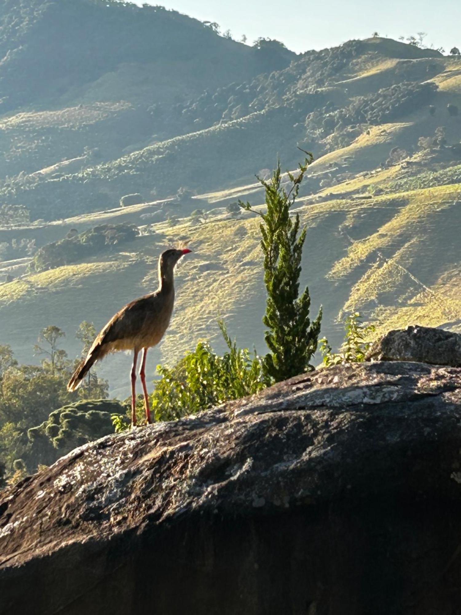 סאו בנטו דו ספוקאי Pousada Terra Dos Passaros מראה חיצוני תמונה